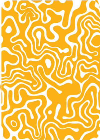 Shape